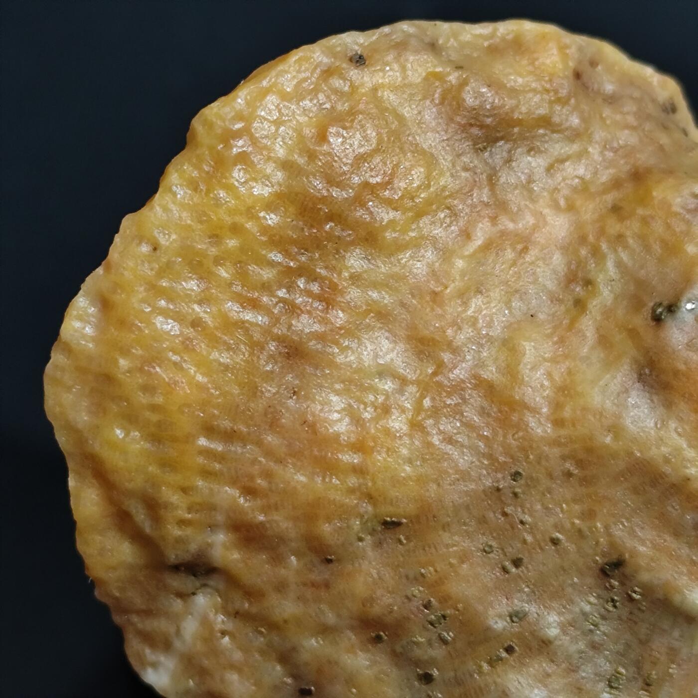 希腊罗马丝路打制币化石【中外钱币放漏】专场！陆小鱼的钱币仓，限时拍卖第069场
