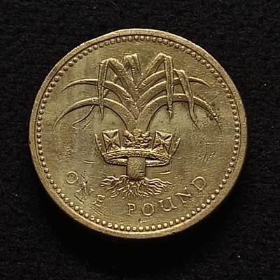 【全场包邮】纯粹捡漏拍441场 - 英国1985年1镑四邦国花系列威尔士葱韭纪念币