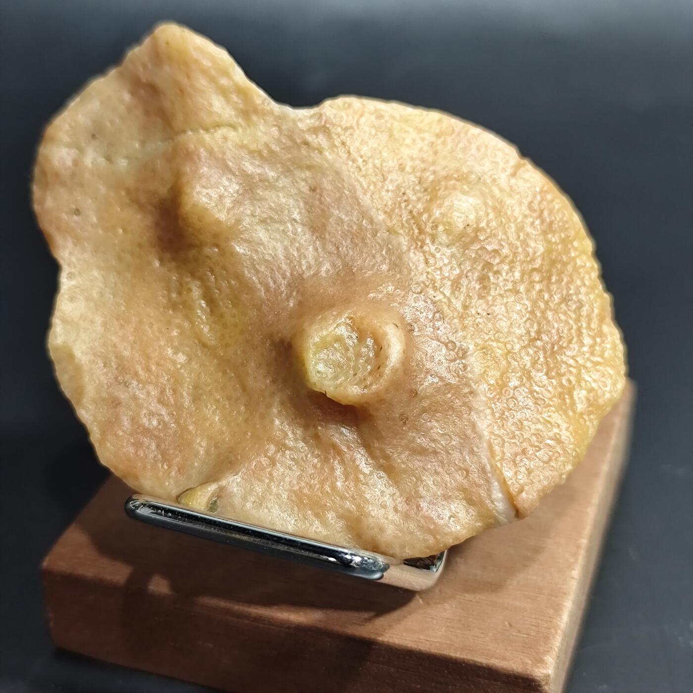 希腊罗马丝路打制币化石【中外钱币放漏】专场！陆小鱼的钱币仓，限时拍卖第069场