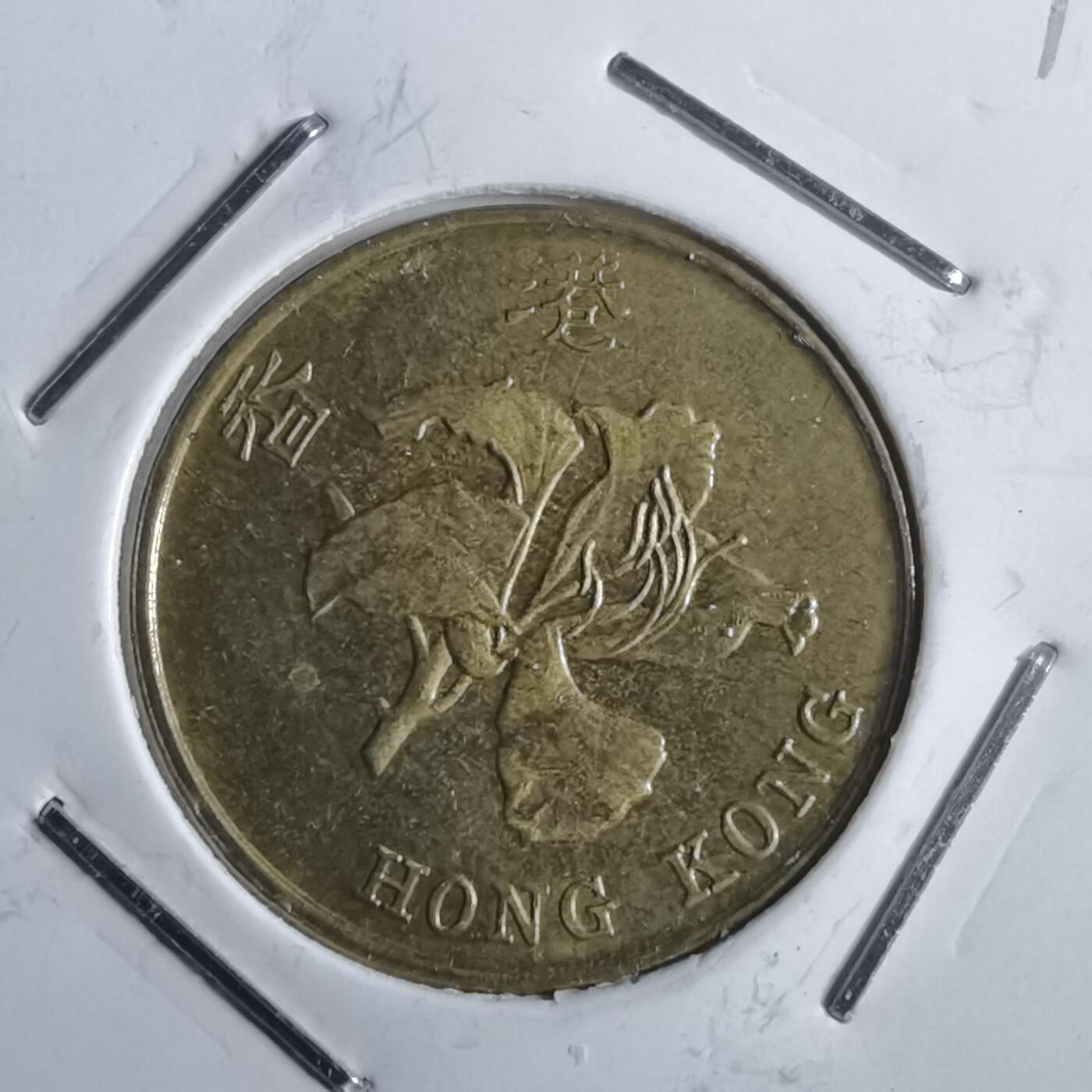 沼泽如烟--第775场