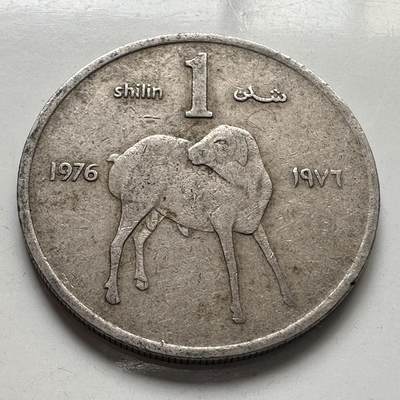 🌹外币初藏🌹🐯2025年第75场  每周二四六晚8️⃣点 接代拍 - 索马里1976年1先令