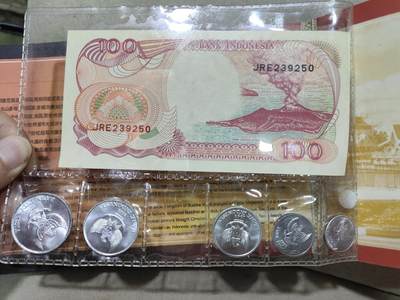 外币收藏 印尼套币
