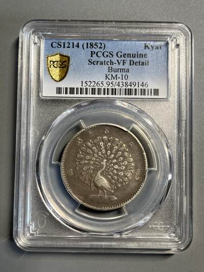 PCGS95缅甸孔雀银币49146 - PCGS95缅甸孔雀银币49146