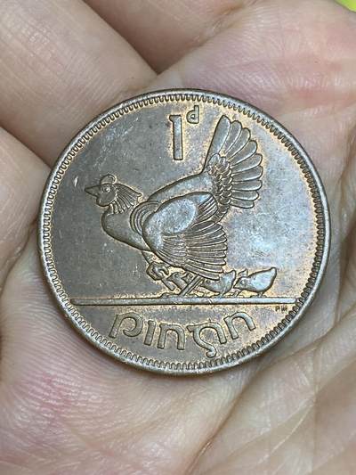 2025年第六十四场(总第九十场）外国好品散币(免佣金) - 带光好品–爱尔兰🇮🇪1966年1便士大铜币