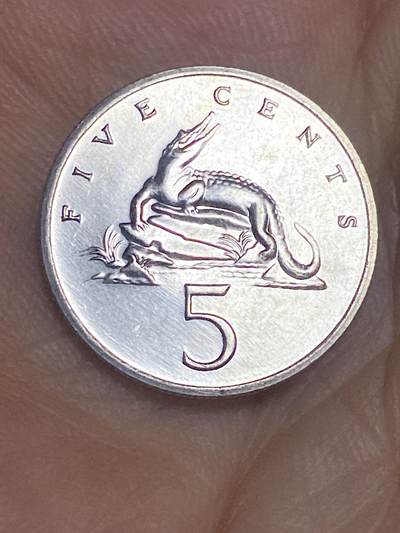 2025年第六十四场(总第九十场）外国好品散币(免佣金) - 牙买加🇯🇲1993年5分(宽字，镀镍钢材质有磁版，关门年)