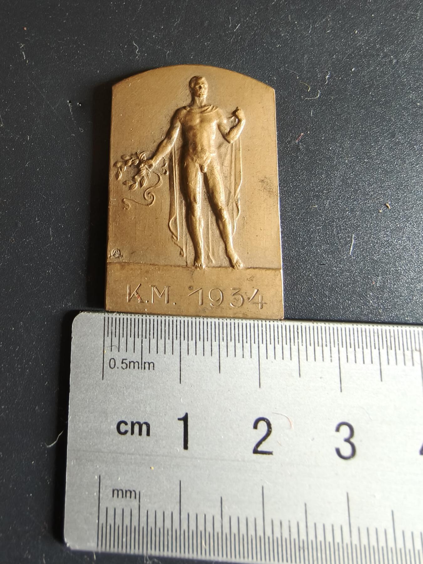 老王徽章第134期 瑞典方形铜章    尺寸35×23mm    重量12g