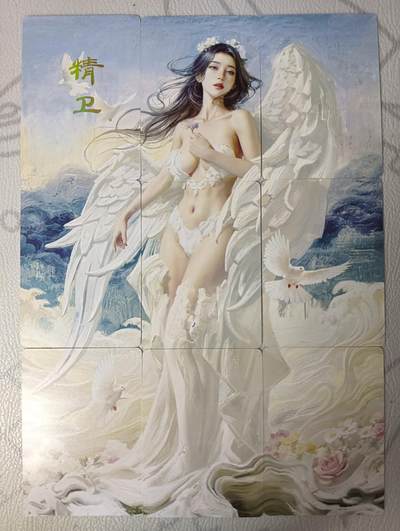 花开卡拍第30期（7月13号周日截拍，品控勿拍!!!拍品不寄存，运费5元，自制卡难免瑕疵，可能存在轻微撞角爆边等出厂瑕疵，品控介意勿拍！） - 燎原焱卡文化刷子妖姬传精卫九拼