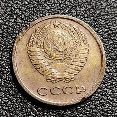 泉币菌-第50场-周末捡漏场 。