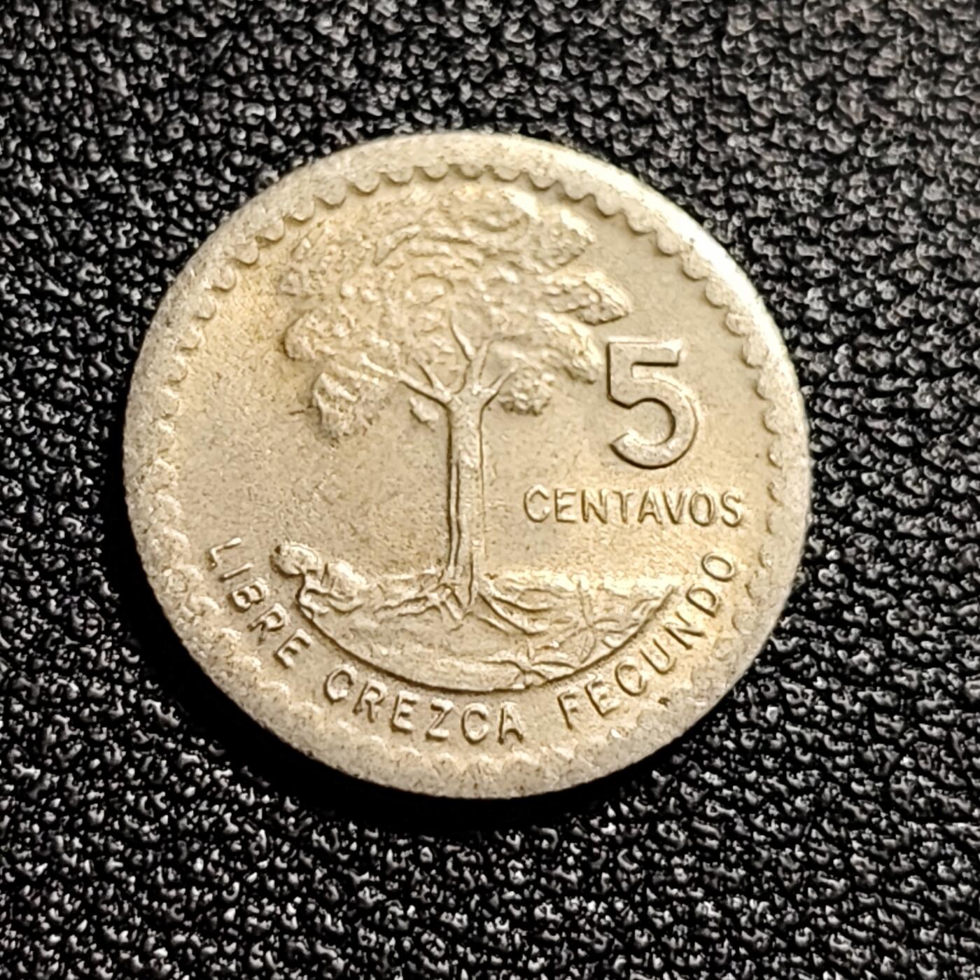 泉币菌-第50场-周末捡漏场 少见 危地马拉1977年5分 国树爪哇木棉 铜镍币 16mm