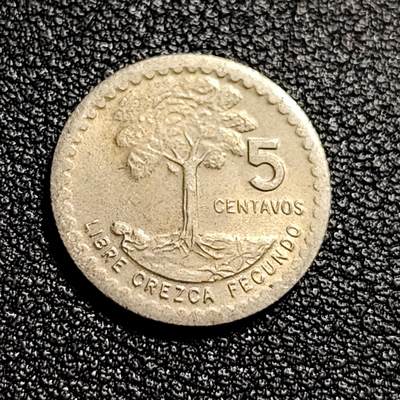 泉币菌-第50场-周末捡漏场 少见 危地马拉1977年5分 国树爪哇木棉 铜镍币 16mm