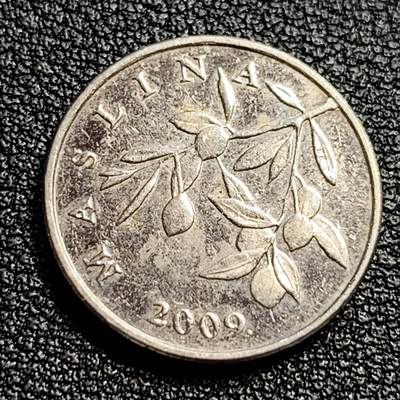 泉币菌-第51场-各国散币场 - 克罗地亚 20里帕硬币 烟草 18.5mm 