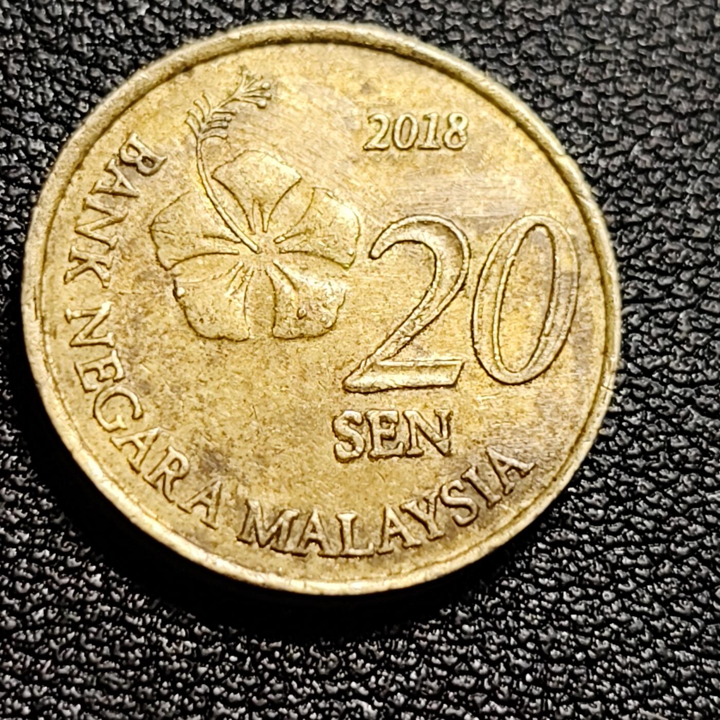 泉币菌-第50场-周末捡漏场 马来西亚20仙硬币