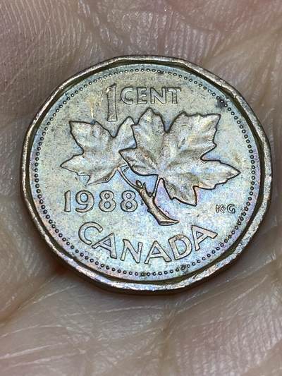 2025年第六十四场(总第九十场）外国好品散币(免佣金) - 加拿大🇨🇦1988年1分(低浮雕版)
