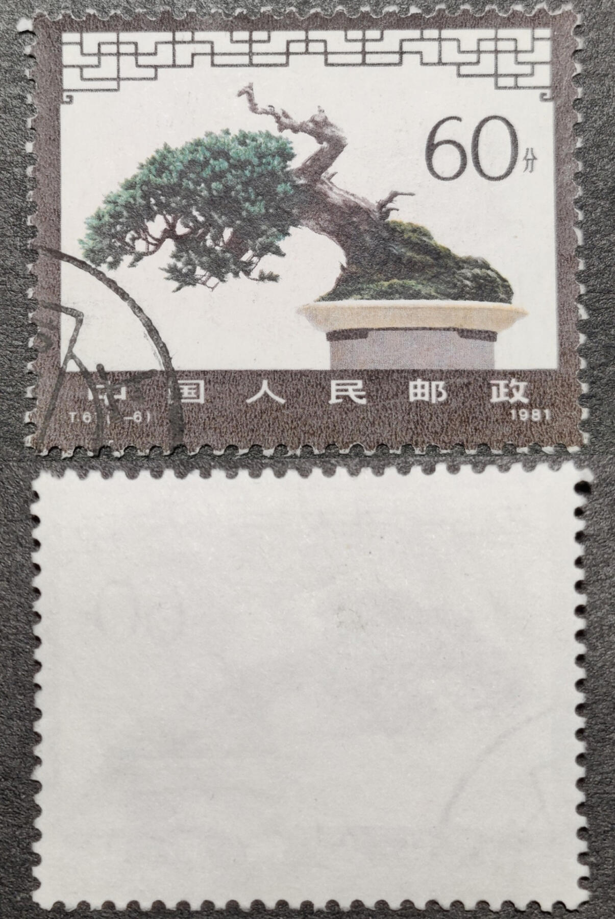 洪涛臻品批发群 精选邮票限时拍卖第1041期  T61 盆景60分大筋票 面艳背白票挺 角尖齿全粒粒饱满！无薄无人为高品质信销票