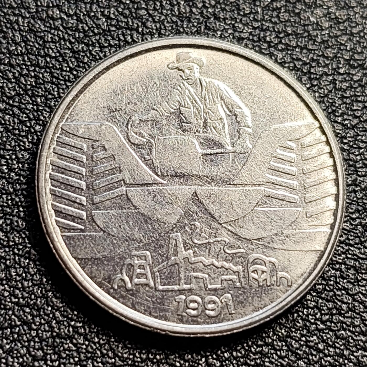 泉币菌-第51场-各国散币场 1991年巴西硬币10克鲁塞罗 农业生产 23mm 