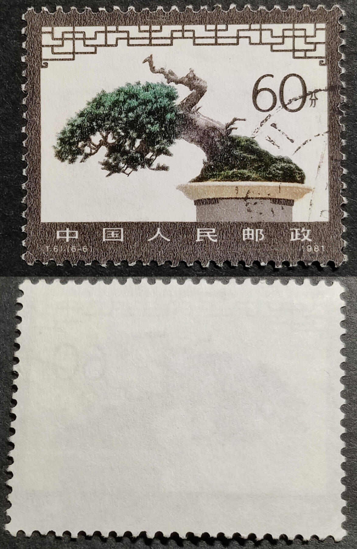 洪涛臻品批发群 精选邮票限时拍卖第1040期  T61盆景60分大筋票 面艳背白票挺无人为 信销全品【尾图他人在售70元】
