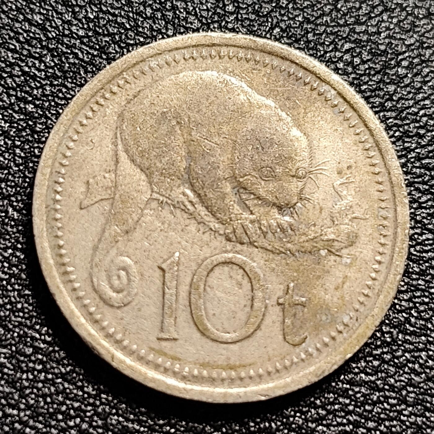 泉币菌-第50场-周末捡漏场 少见 巴布亚新几内亚 10分 班袋貂 24mm 太平洋