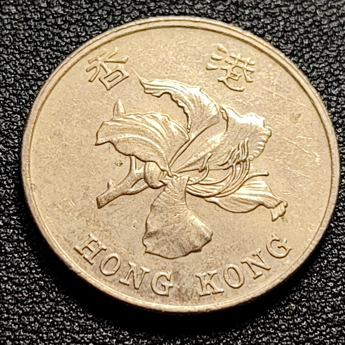 泉币菌-第51场-各国散币场 香港壹圆镍币 紫荆花 纪念币