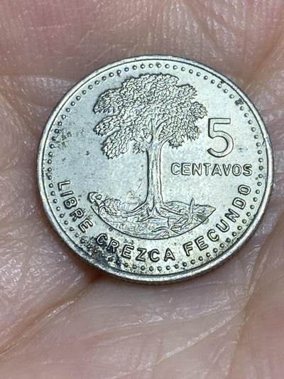2025年第六十五场(总第九十一场）外国好品散币(免佣金) - 危地马拉🇬🇹1986年5分(Small date 小日期版)