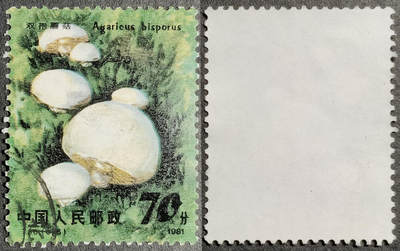 洪涛臻品批发群 精选邮票限时拍卖第1051期  - T66食用菌70分大筋 面艳背白票挺无人为 信销近全品【尾图他人在售67元】