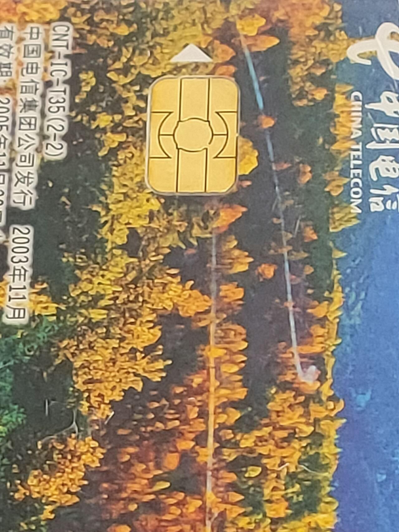 公藏第116期评级卡拍卖