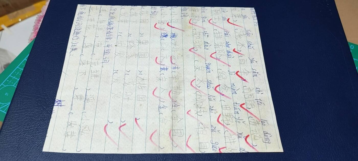 票证拍场，都是整版或者联票 🔥🔥最高指示🔥🔥江苏省布票24联张，1968年，面值伍市寸
