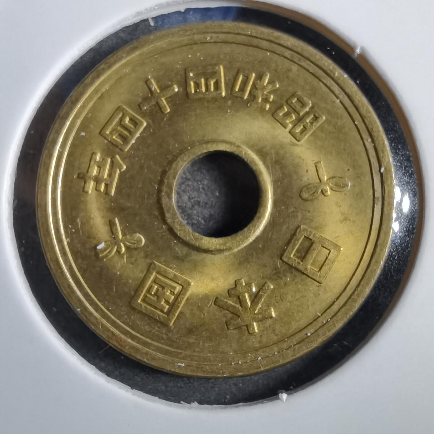 沼泽如烟--第777场