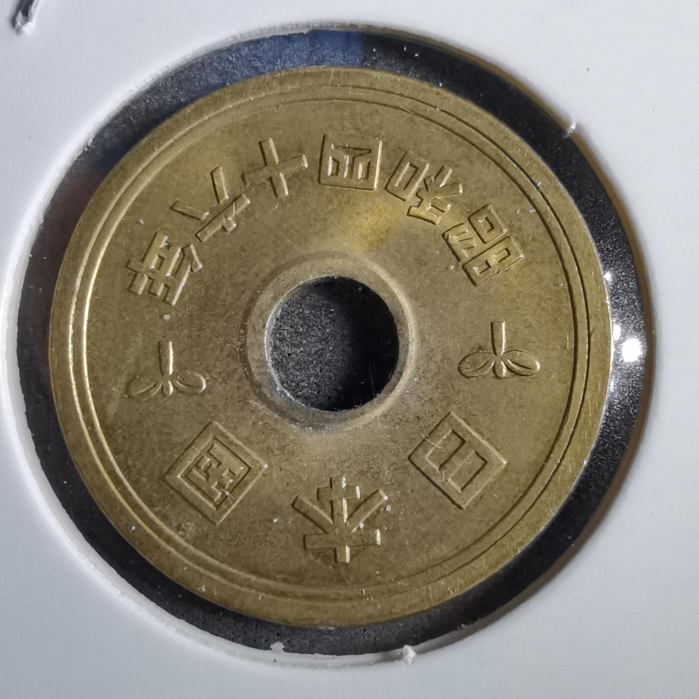 沼泽如烟--第777场