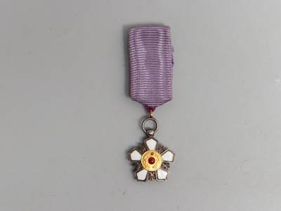 历代徽章6 双龙迷你勋章（原盒 ）