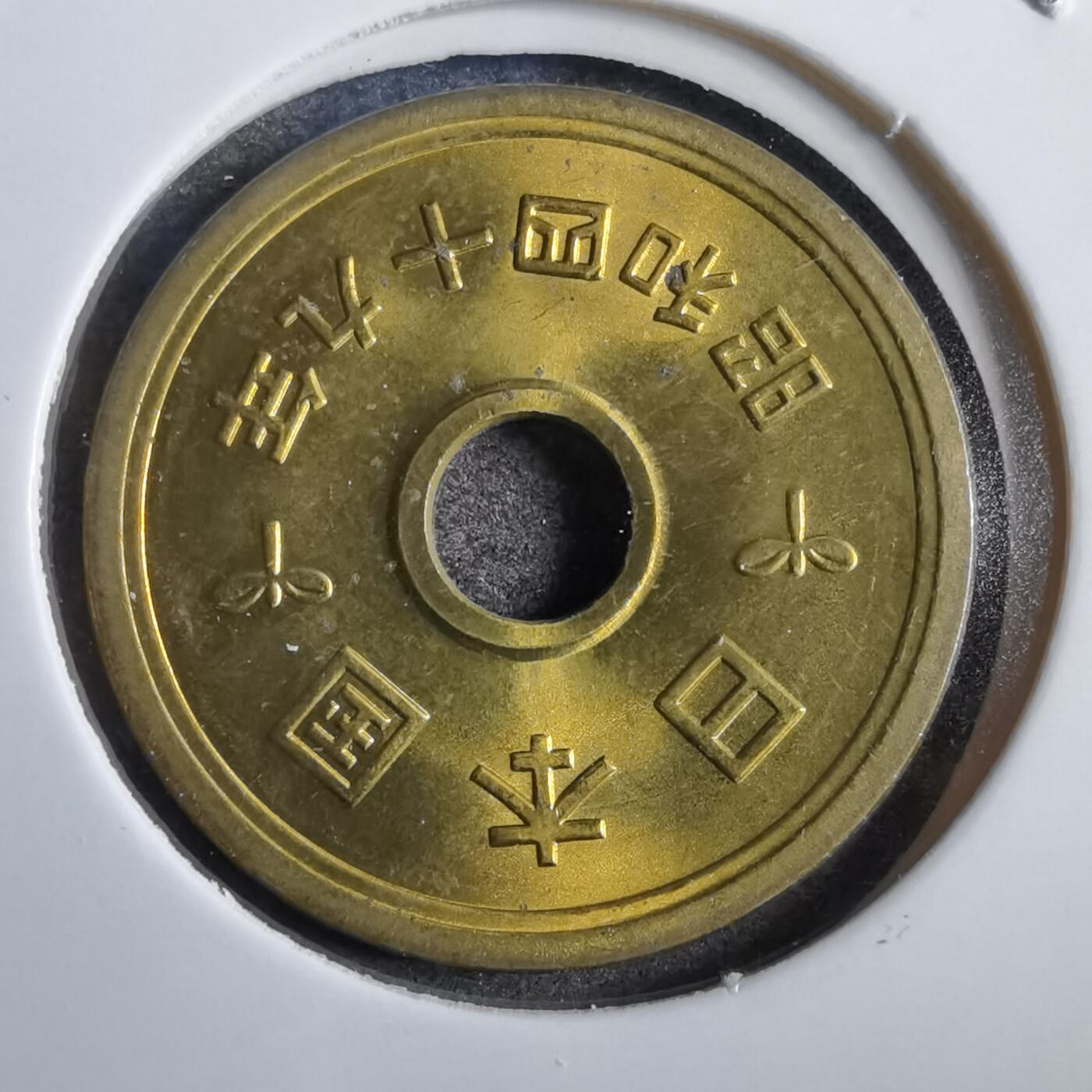 沼泽如烟--第777场