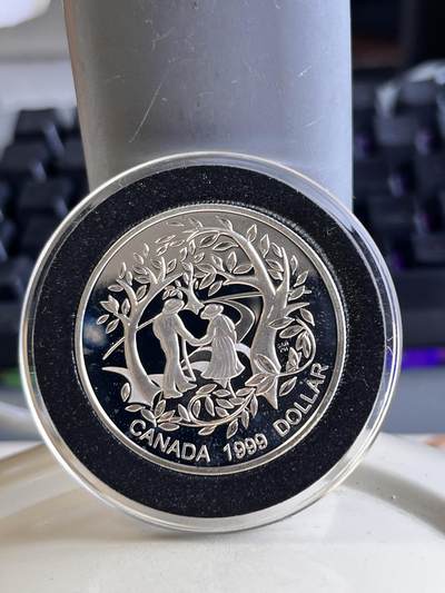 第166期拍卖【长期征集拍品】 - 加拿大1999年国际老年人年精制纪念银币，925银，25.175克