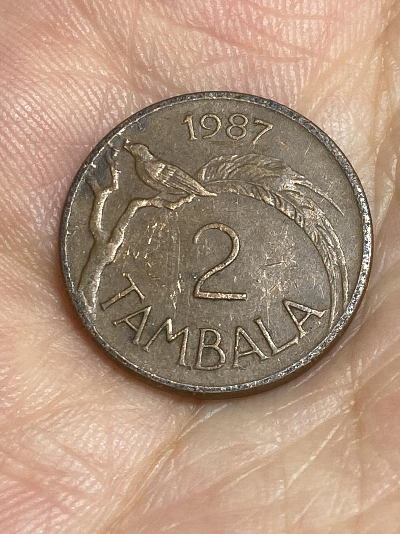 2025年第六十五场(总第九十一场）外国好品散币(免佣金) 马拉维🇲🇼1987年2坦巴拉(第三版铜包钢有磁版)