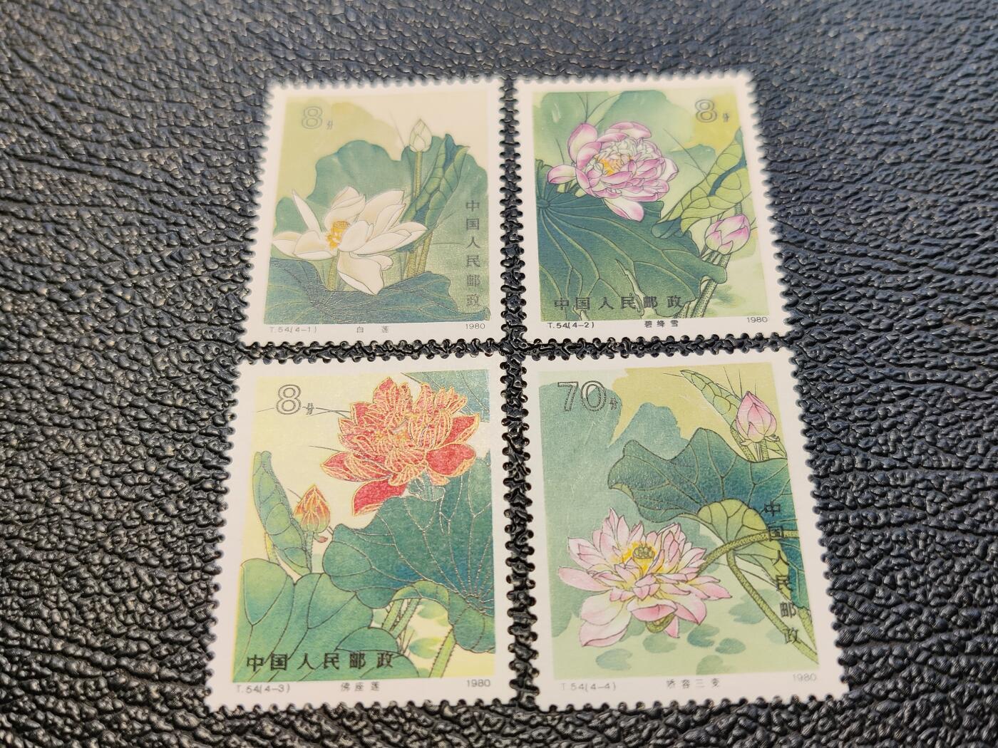 洪涛臻品批发群 精选邮票限时拍卖第1043期  T54荷花 实物正反图 原胶全品【尾图裸票成交723.6元，95分成交4160元】