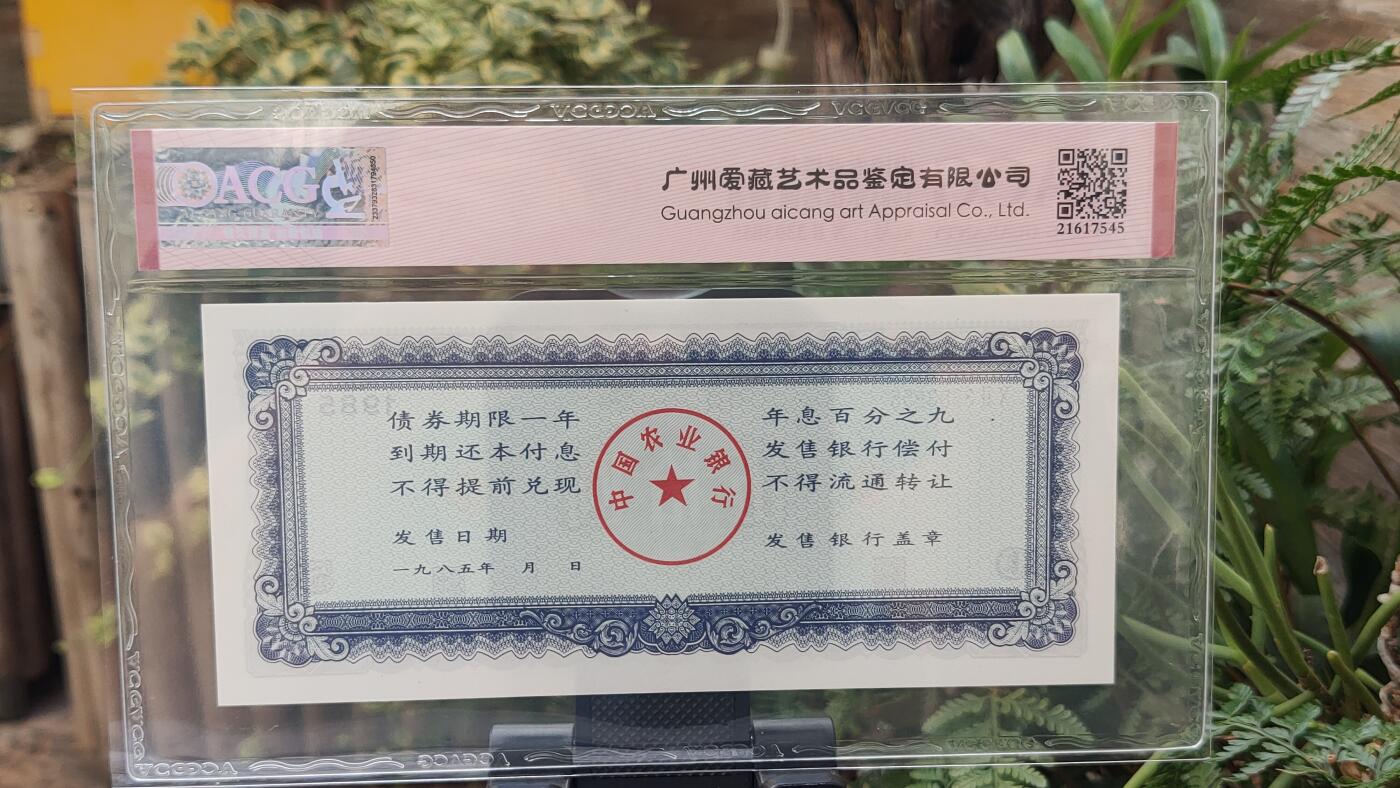 每日随心十拍028 <混拍>