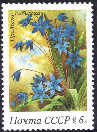 洪涛臻品批发群 精选邮票限时拍卖第1045期  - 苏联1983年 新1全原胶全品 春天的花朵