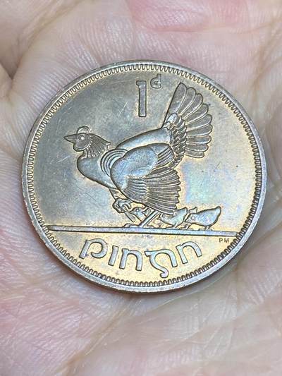 2025年第六十五场(总第九十一场）外国好品散币(免佣金) - 带光好品–爱尔兰🇮🇪1965年1便士(共和国时期第一套)
