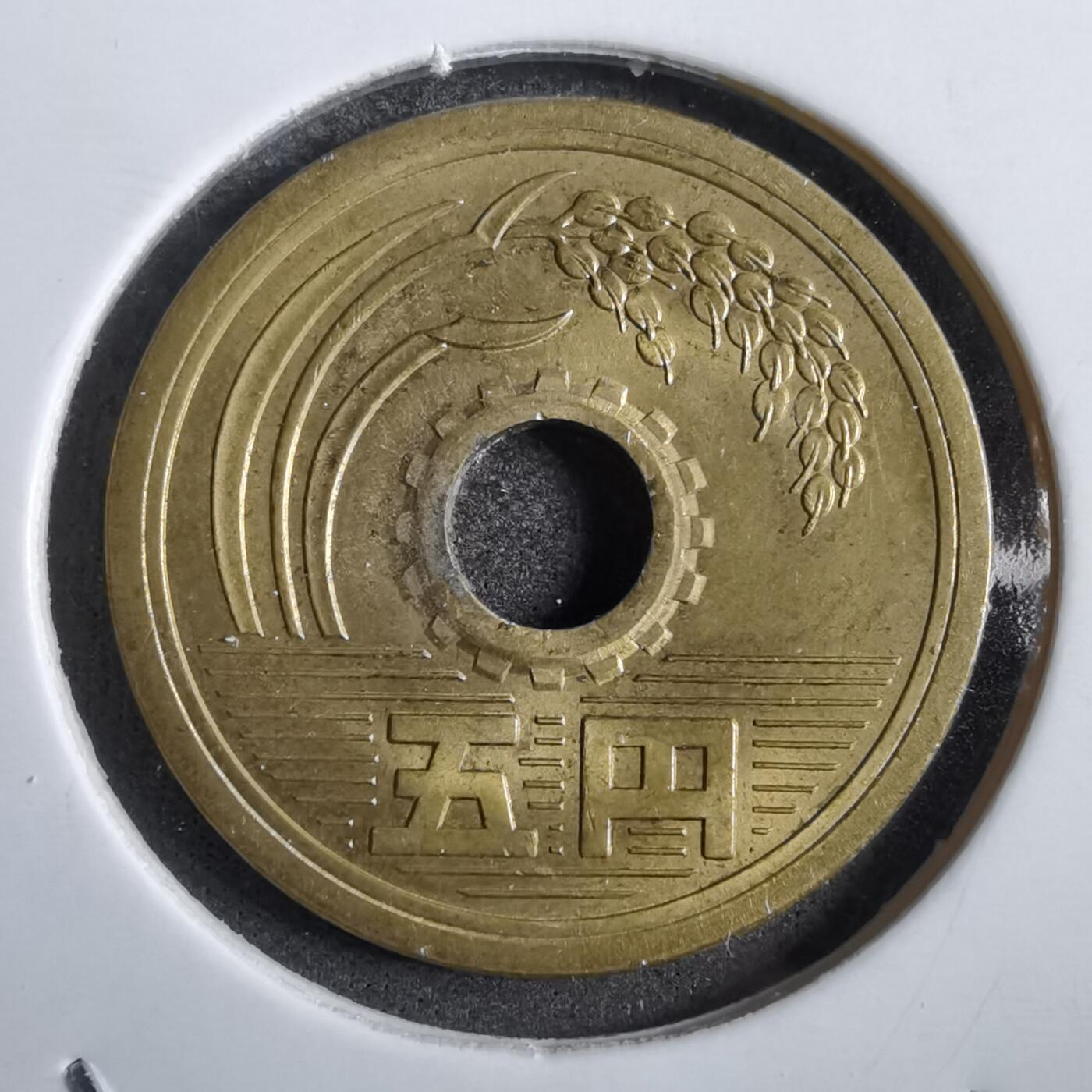 沼泽如烟--第777场