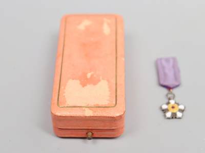 历代徽章6 双龙迷你勋章（原盒 ）