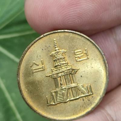 猩哥外币小铺➨【第171场】 - 10韩元