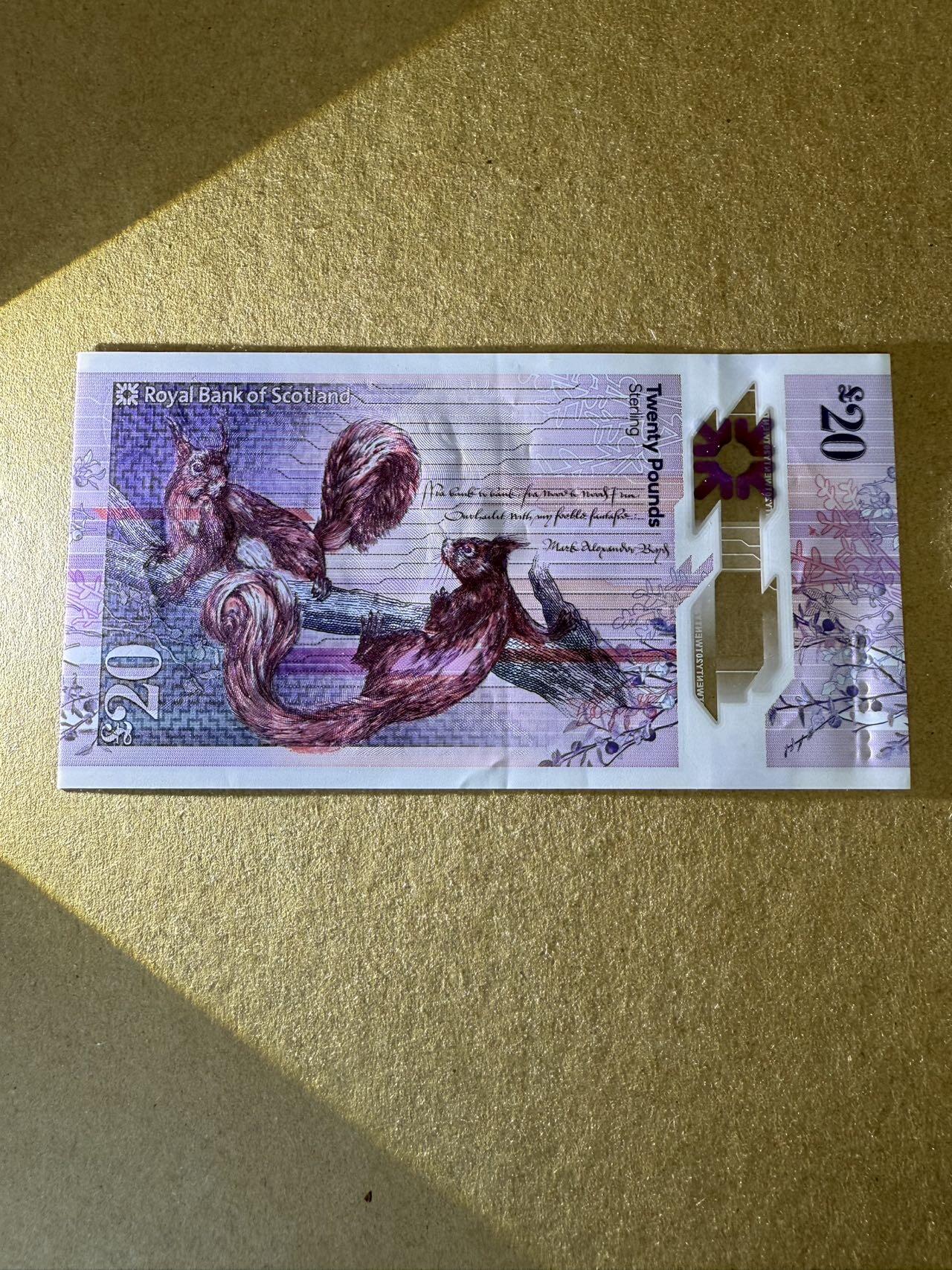 【炜奕收藏】，第三十九期