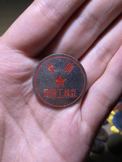 徽章专拍场 - 五十年代广东省森林工业局