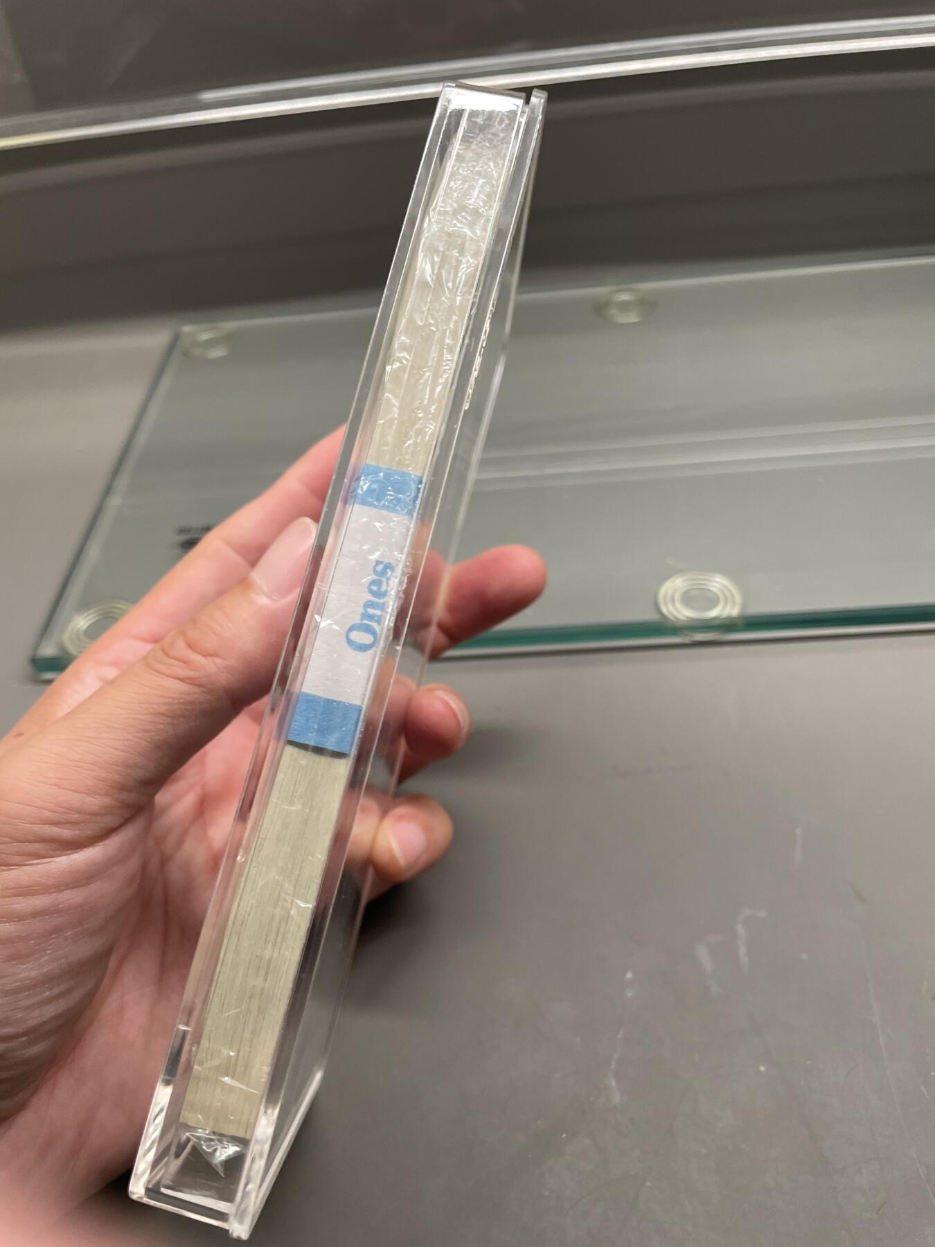 一美元双豹子号