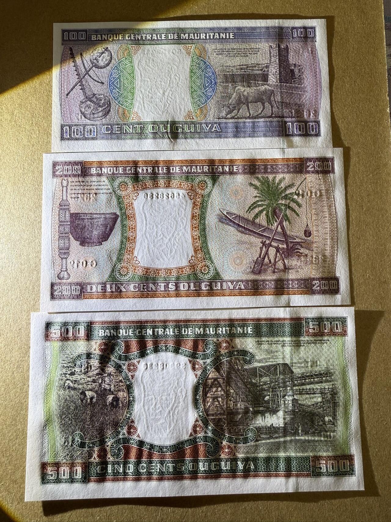 【炜奕收藏】，第三十九期