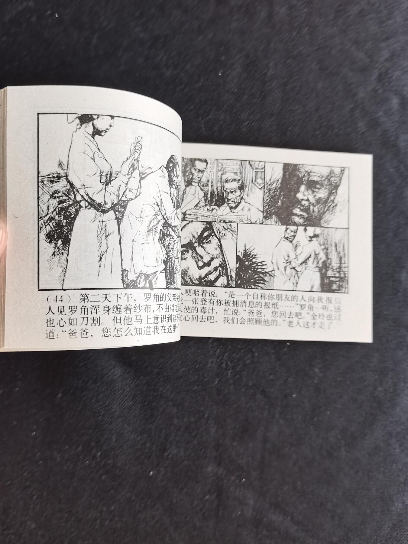 谁是螳螂