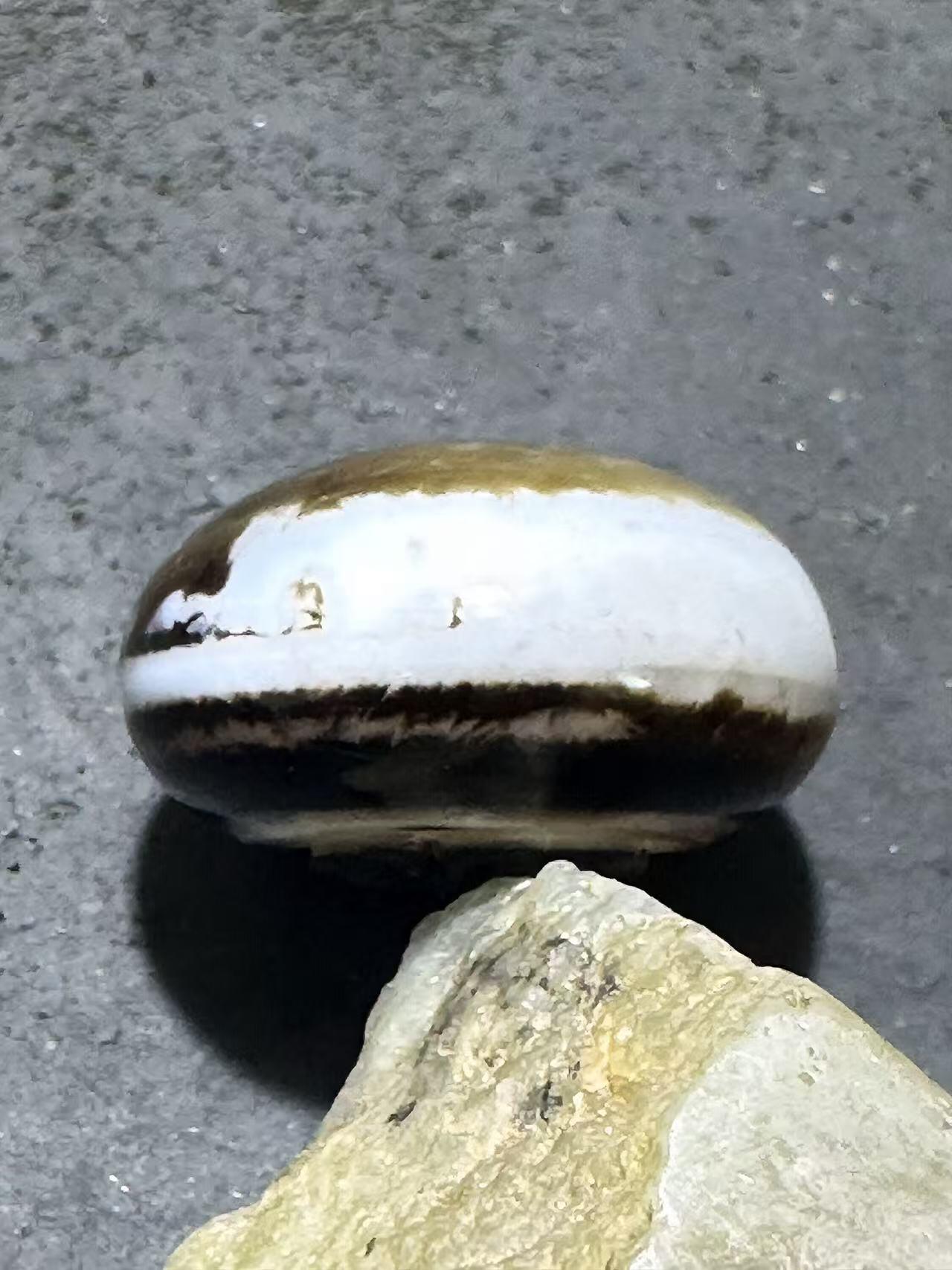 精品药师玛瑙手工雕刻蜘蛛板珠（背云）一颗