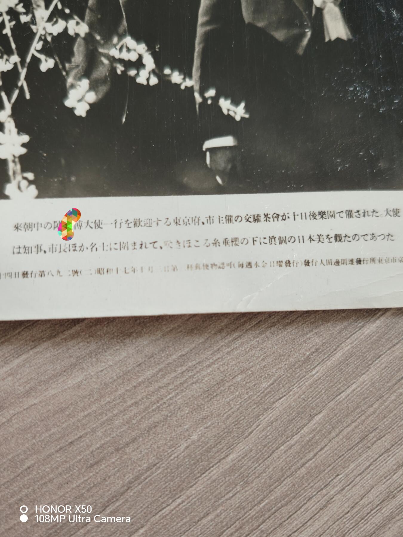 城南花开🌷79场