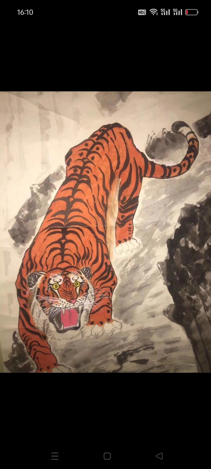 名人手绘“红虎”下山虎，款是藏古轩的，落款是中石的，红红火火甚是漂亮，包老包真包手绘，这幅画很有研究价值，都在字款里了，喜欢的朋友速度。尺寸1.70/0.53米
