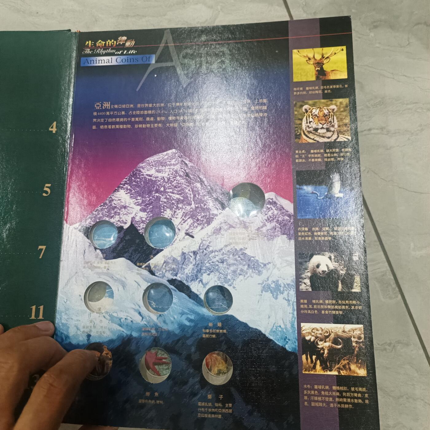 泡泡币外币第六十场可代拍15038385335微信 精装硬币册没有硬币，只有册