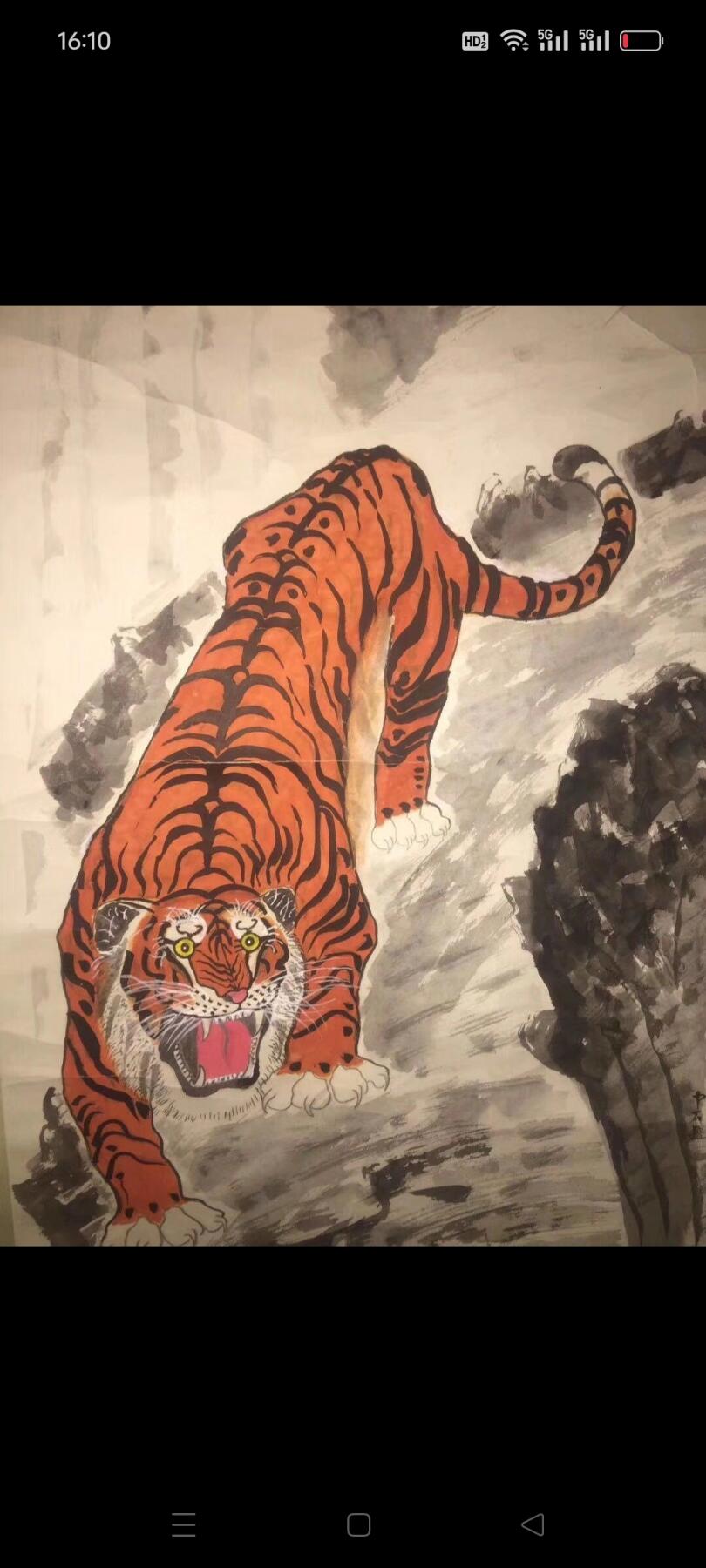 名人手绘“红虎”下山虎，款是藏古轩的，落款是中石的，红红火火甚是漂亮，包老包真包手绘，这幅画很有研究价值，都在字款里了，喜欢的朋友速度。尺寸1.70/0.53米