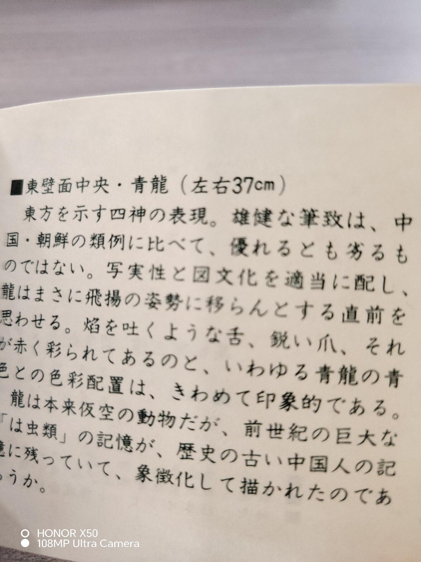 城南花开🌷79场
